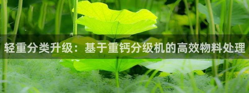 天宏娱乐怎么改号了：轻重分类升级：基于重钙分级机的高效物料处