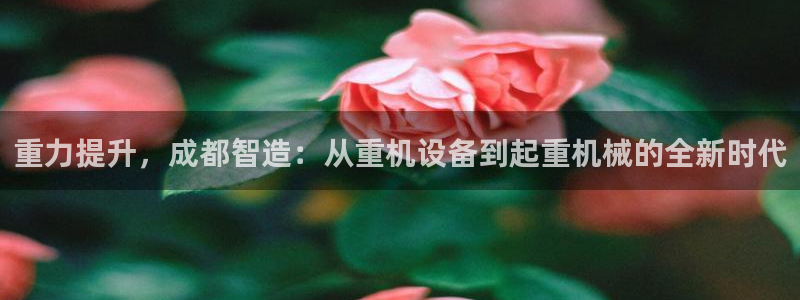 天宏娱乐涛叔：重力提升，成都智造：从重机设备到起重机械的全新