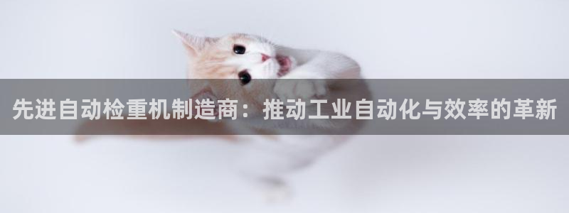 天宏娱乐a 判官：先进自动检重机制造商：推动工业自动化与效率