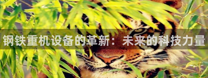 天宏娱乐彬彬叔