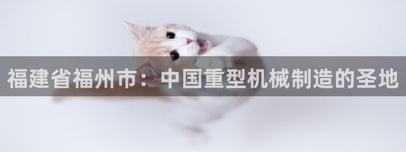 天宏娱乐h 判官