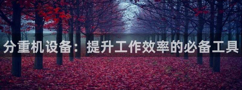 天宏娱乐朱俊伟