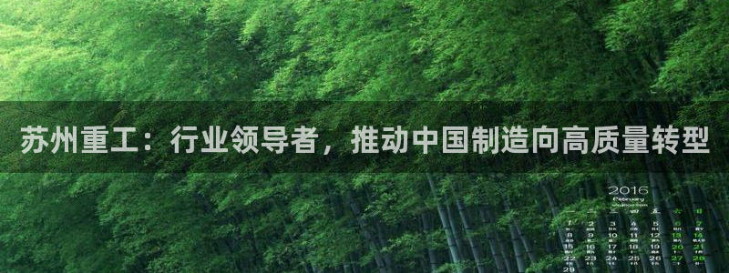 天宏娱乐星空大叔