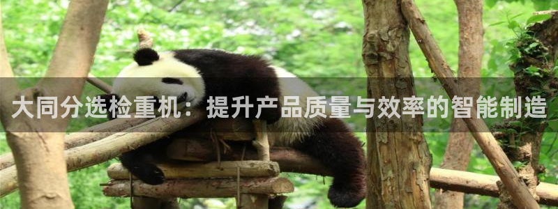 天宏娱乐老男孩团队