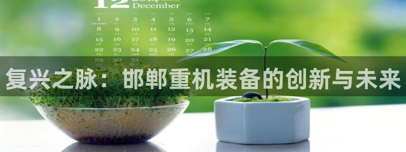 天宏娱乐e 判官：复兴之脉：邯郸重机装备的创新与未来
