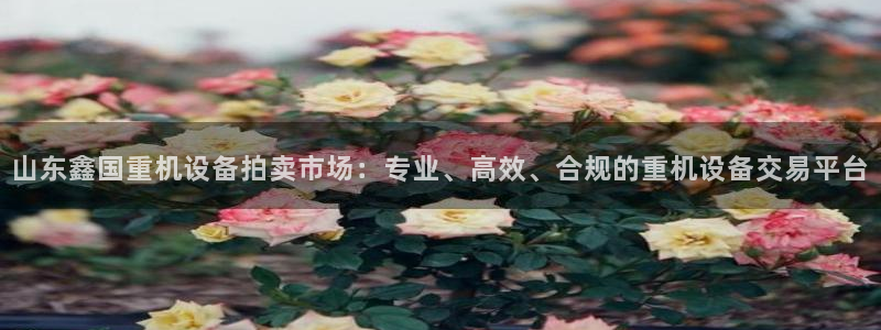 天宏娱乐·v主管管32937