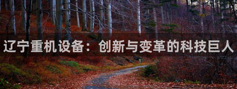 天宏娱乐大叔团成员：辽宁重机设备：创新与变革的科技巨人