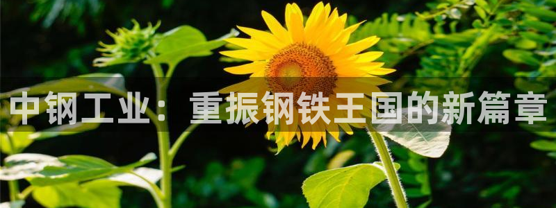 天宏娱乐登录网址