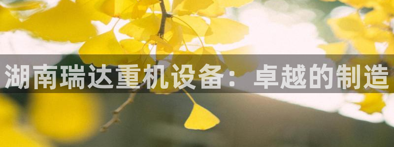 西安天宏娱乐直播间：湖南瑞达重机设备：卓越的制造