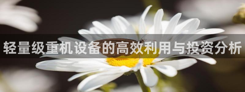天宏娱乐招商主管招聘：轻量级重机设备的高效利用与投资分析