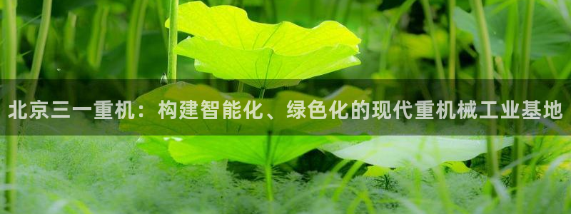 西安天宏娱乐会所地址：北京三一重机：构建智能化、绿色化的现代