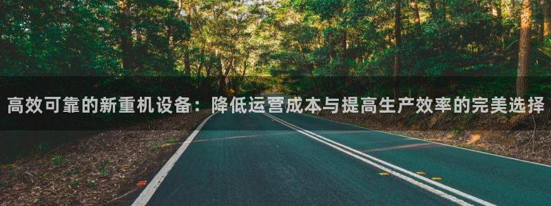 天宏娱乐董叔：高效可靠的新重机设备：降低运营成本与提高生产效
