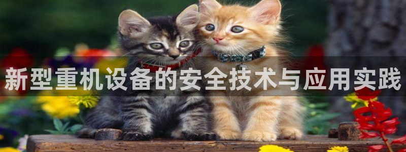 天宏娱乐直播间怎么进入