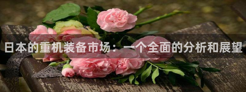 天宏娱乐无限团