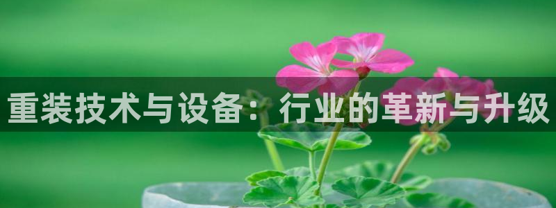 天宏娱乐老男孩直播