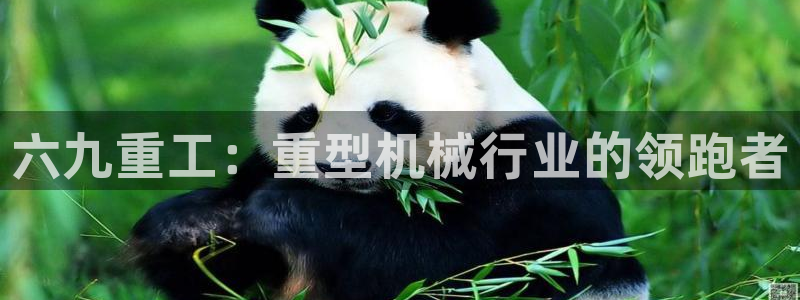 天宏娱乐是什么公司：六九重工：重型机械行业的领跑者