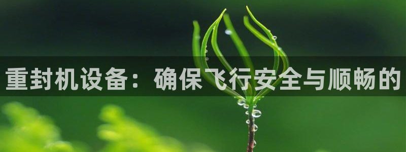 天宏棋牌娱乐：重封机设备：确保飞行安全与顺畅的