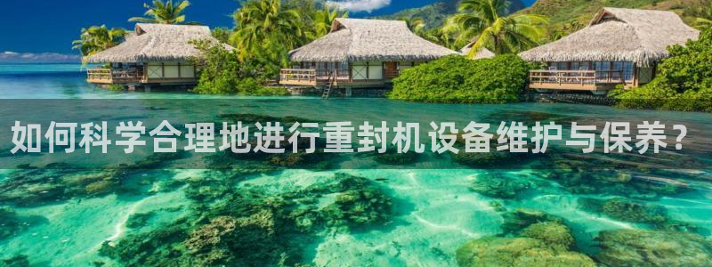 天宏娱乐朱俊伟