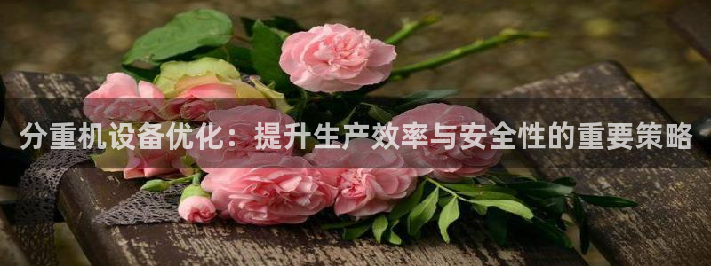 天宏娱乐天府：分重机设备优化：提升生产效率与安全性的重要策略