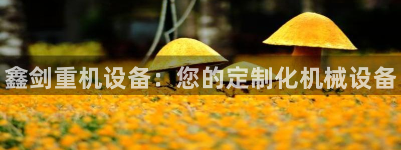 宏天娱乐说：鑫剑重机设备：您的定制化机械设备