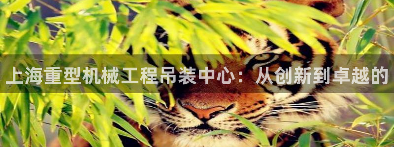 天宏娱乐直播在线观看：上海重型机械工程吊装中心：从创新到卓越