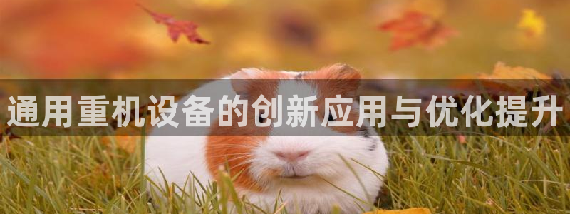 天宏娱乐王总：通用重机设备的创新应用与优化提升