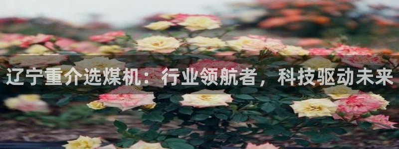 天宏娱乐招商部电话