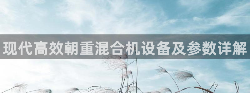 天宏娱乐石叔简介图片：现代高效朝重混合机设备及参数详解