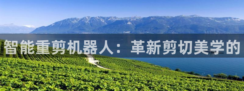 裕宏娱乐林天俊：智能重剪机器人：革新剪切美学的