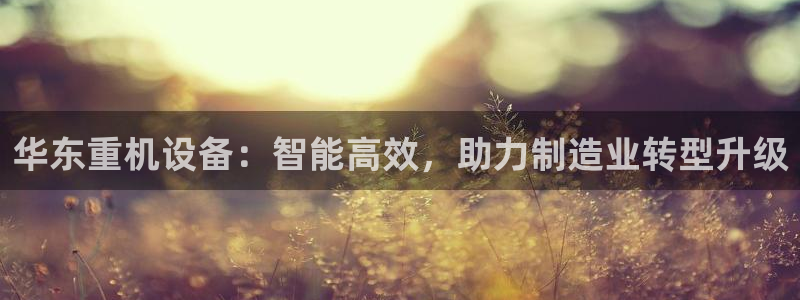 天宏娱乐小号怎么玩的：华东重机设备：智能高效，助力制造业转型