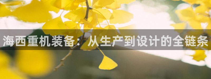 天宏娱乐杨叔：海西重机装备：从生产到设计的全链条