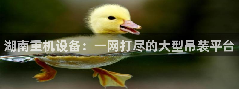 天宏娱乐巴扎黑