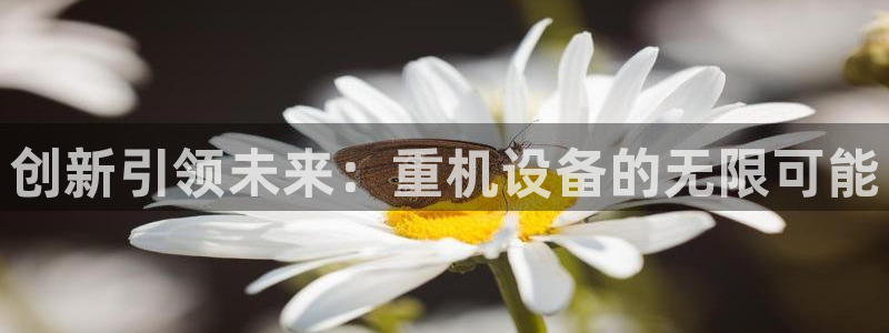 天宏娱乐创始人：创新引领未来：重机设备的无限可能