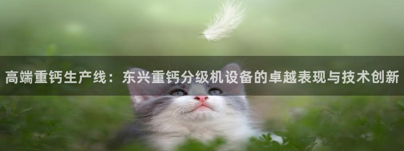 天宏娱乐董叔