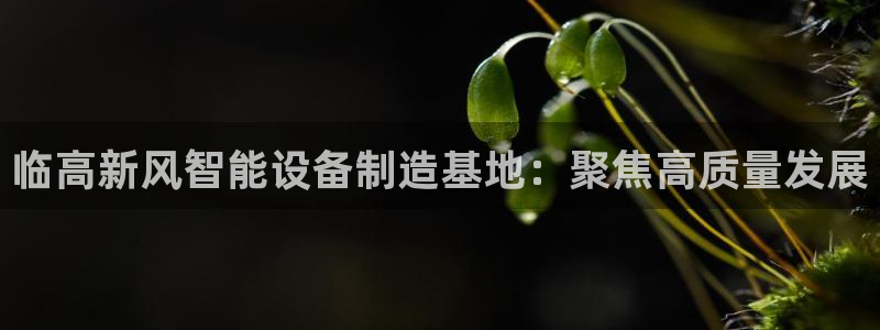 天宏娱乐直播间怎么进入