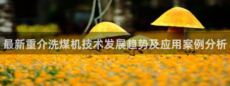 天宏娱乐关先生