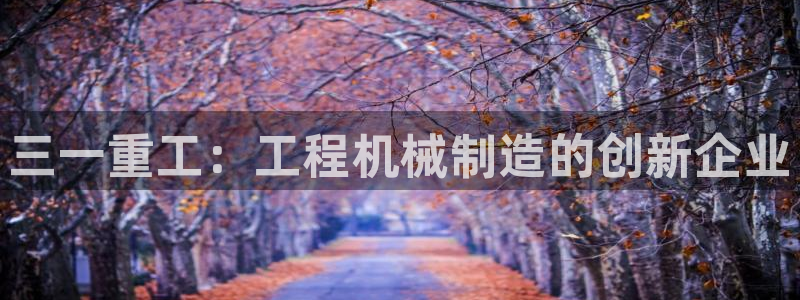天宏娱乐小号怎么玩的：三一重工：工程机械制造的创新企业
