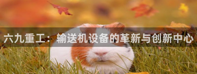 天宏娱乐套钱