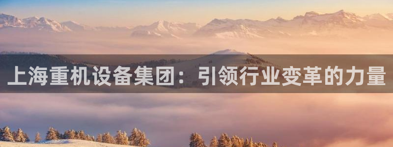 天宏娱乐平台注册：上海重机设备集团：引领行业变革的力量