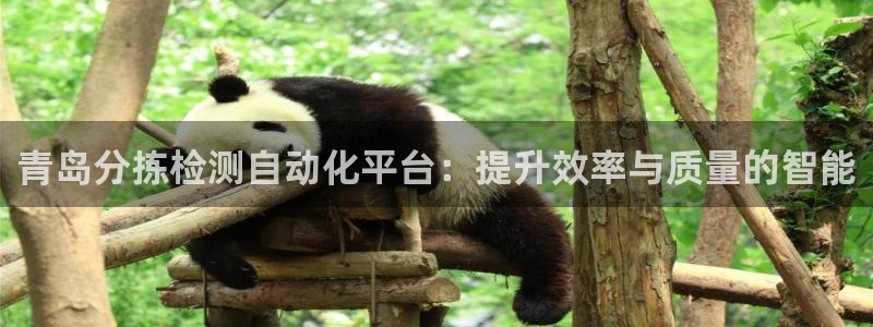 天宏集团黑骑士娱乐