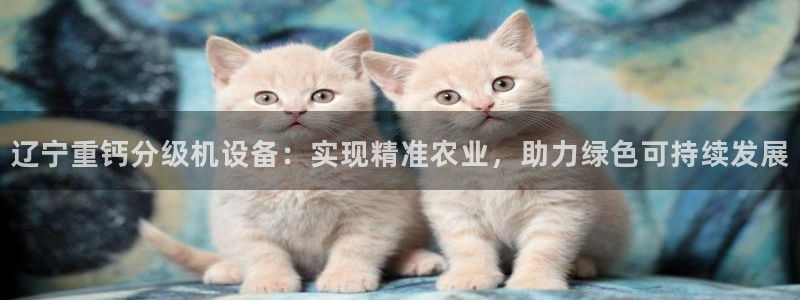 天宏2娱乐主管