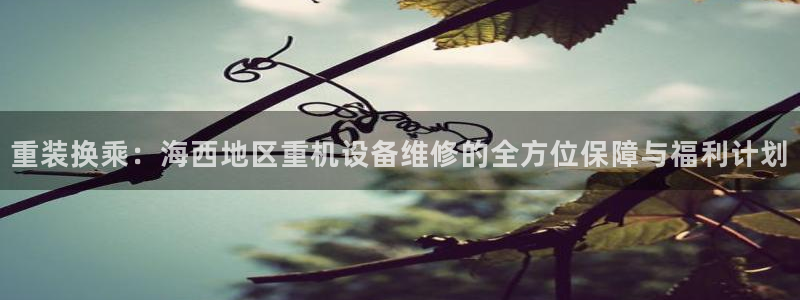 天宏娱乐主管q844389：重装换乘：海西地区重机设备维修的