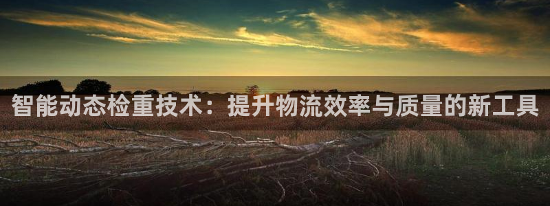 天宏娱乐老板：智能动态检重技术：提升物流效率与质量的新工具
