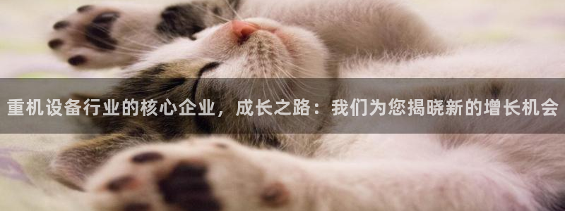 天宏娱乐满意hfqjwl下拉