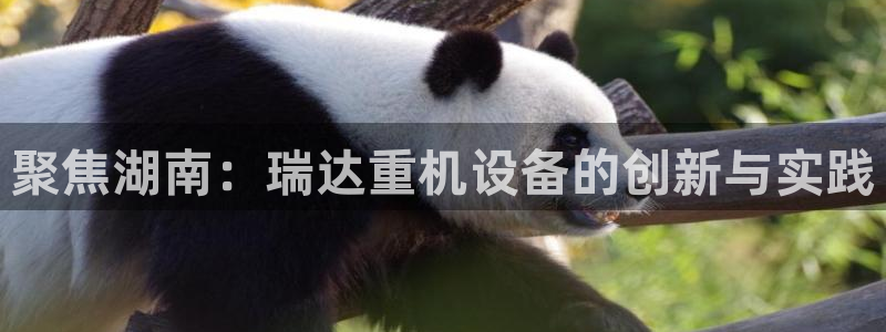 天宏娱乐招商主管招聘